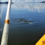 Pesca em Caiaque